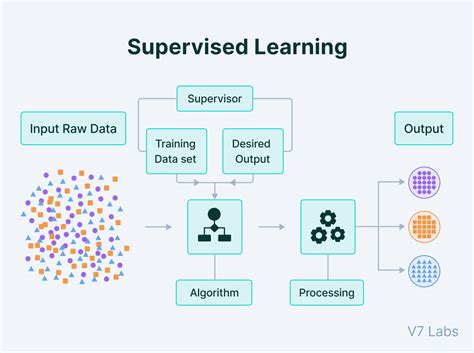 test data machine learning|training dataset in machine learning.